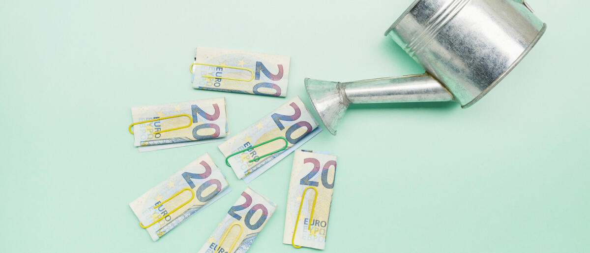 20-Euro-Scheine kommen aus Gießkanne. © the_burtons / Getty Images