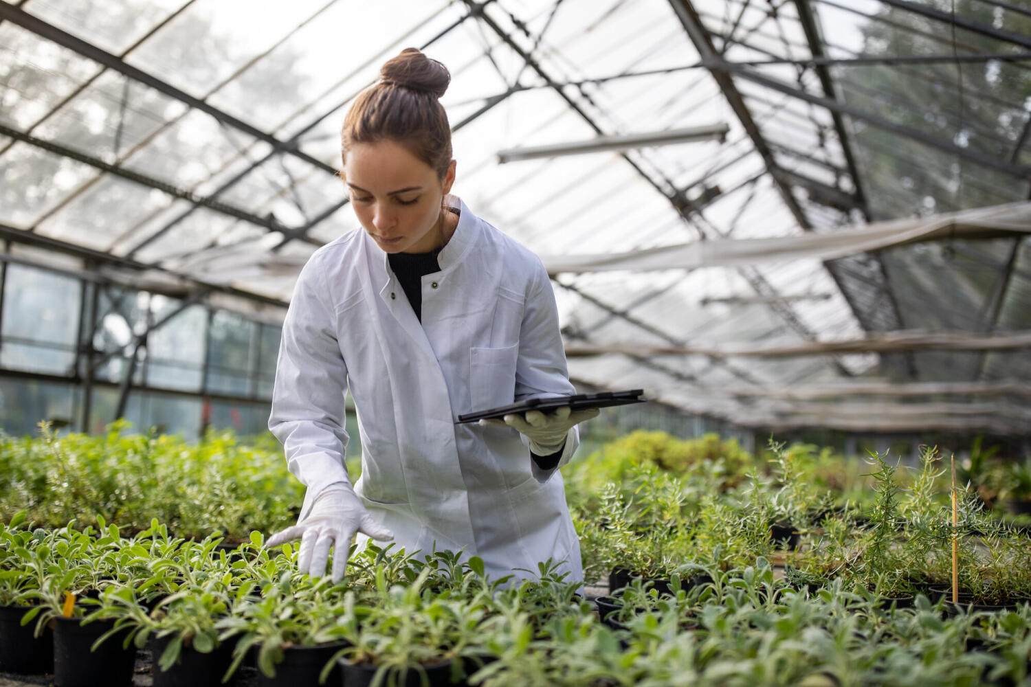Agronom: Gehalt, Aufgaben & Skillset
